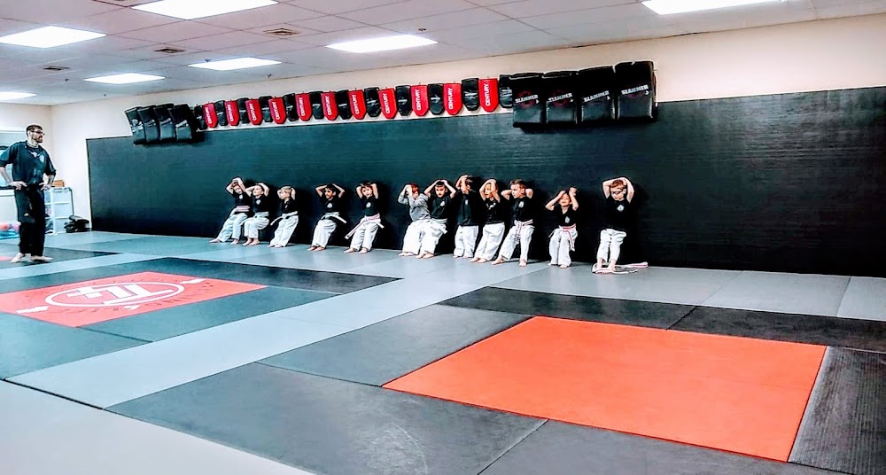 Training4Life Martial Arts Academy